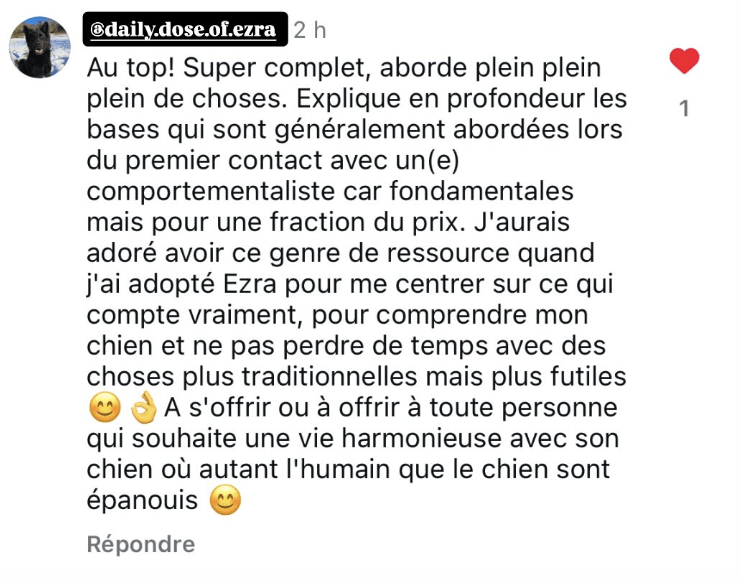 Cours en ligne / webinaire Comprendre son chien / sa chienne