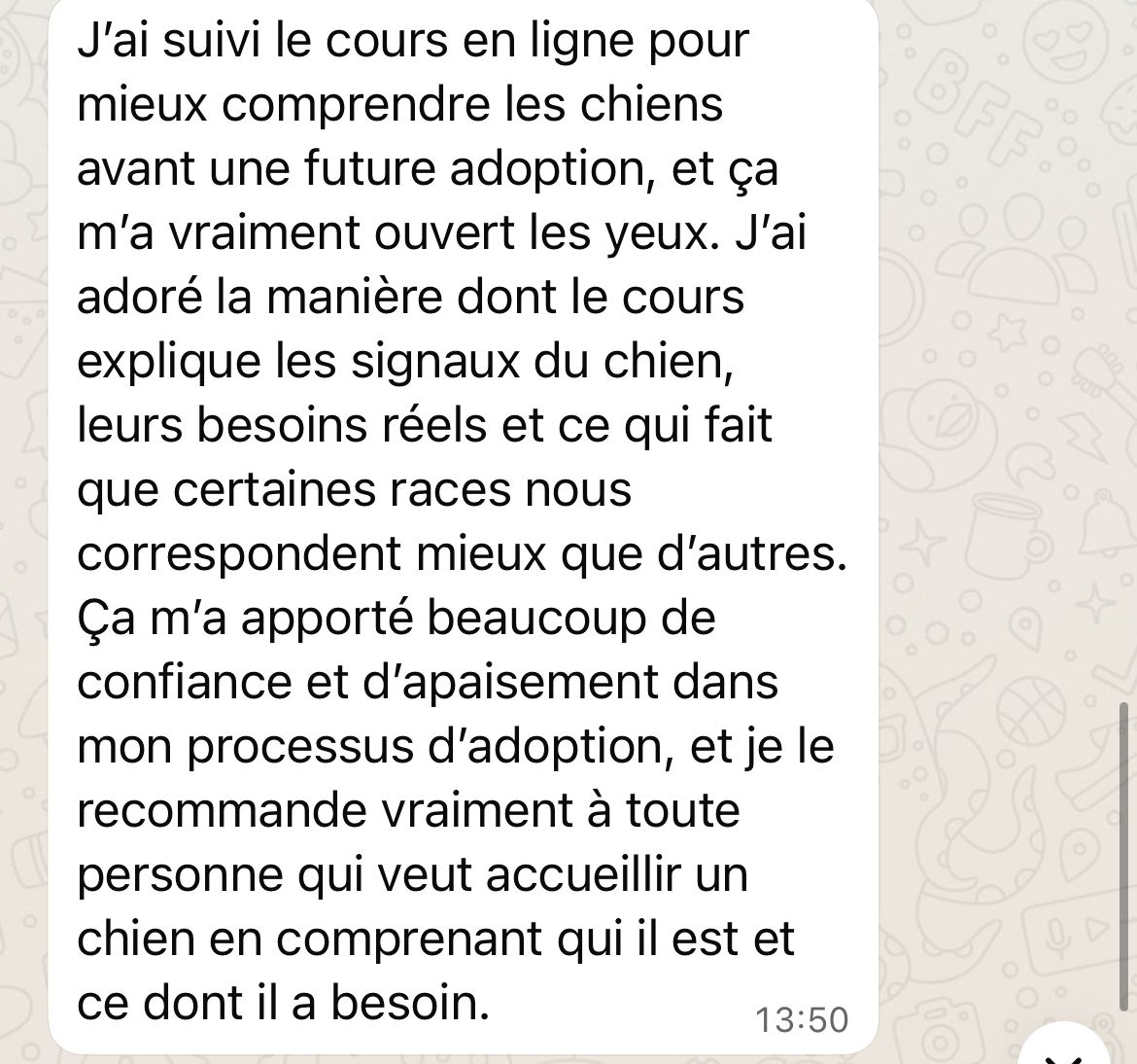 Cours en ligne / webinaire Comprendre son chien / sa chienne